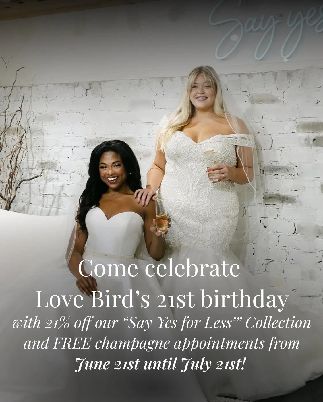 Dress Dreams Made Real for Every Bride Banner